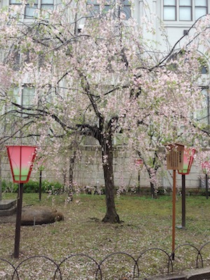 20120423-IMG_0482e.jpg