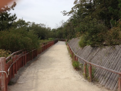 20131008-20131011a.JPG