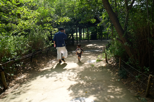 20131028-IMG_1877.jpg