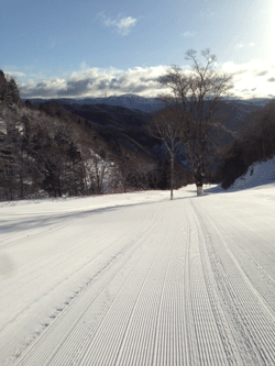 20140211-ishida.gif