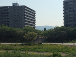 20140430-sayoko3.jpg