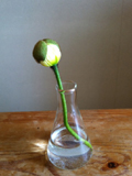 20110403-写真1.JPG