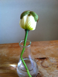 20110403-写真2.JPG