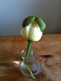 20110403-写真33.jpg