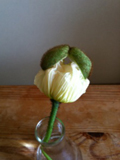 20110403-写真44.jpg