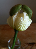 20110403-写真5.JPG