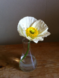 20110403-写真１２.JPG