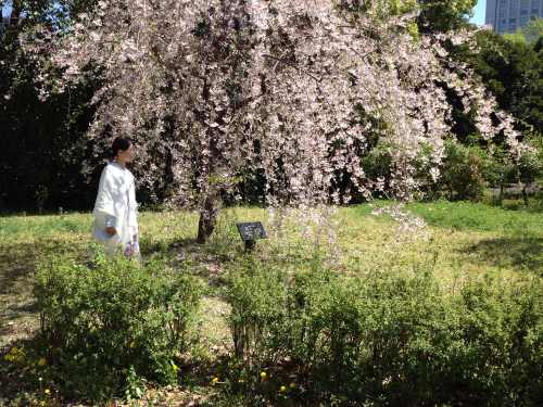 20130416-2504182.jpg