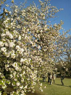 20130427-DSC_0621.jpg