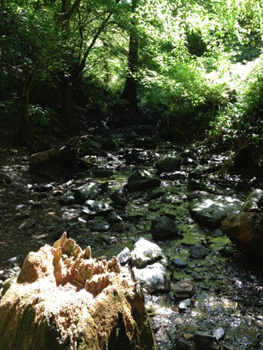 20130810-IMG_2801.jpg