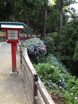 20130810-IMG_3082.jpg