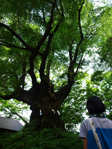 20130814-a6.jpg