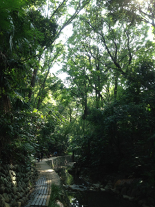 20130922-7.jpg