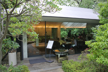 20130926-DSC_1519nezu.jpg