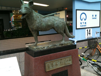 20131001-IMG_3654zou.jpg
