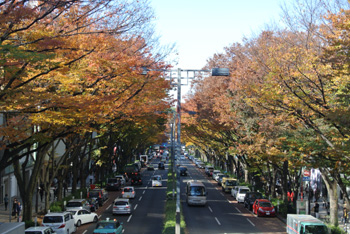 20131121-iroiro.jpg