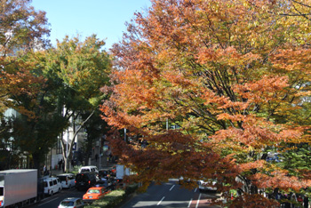 20131121-iroiro3.jpg