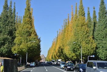 20131121-iroiro5.jpg