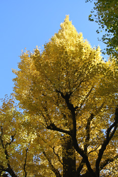 20131121-iroiro6.jpg