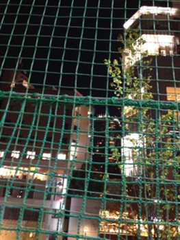 20131202-124.jpg