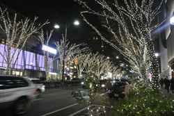 20131206-DSC_2004.JPG
