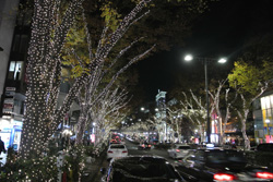 20131206-DSC_2012.JPG