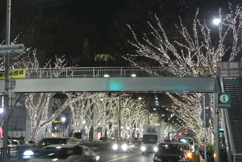 20131206-DSC_2018.JPG