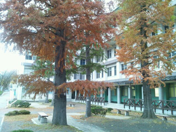 20131210-2.jpg