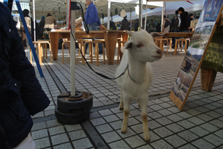 20131214-1010.jpg