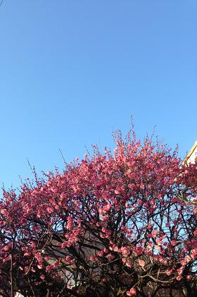 20140217-image2.jpg