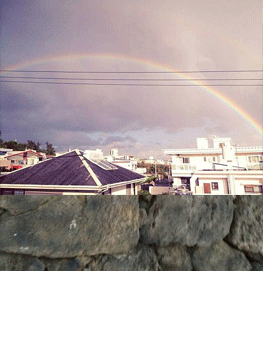 20140221-niji2.gif