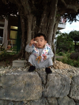 20140221-yuann2.gif