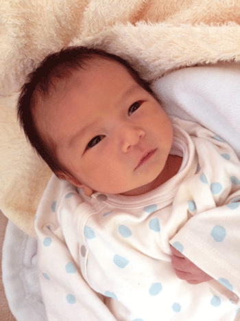 20140323-308308.gif