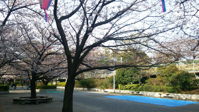 20140329-DSC_0264.JPG