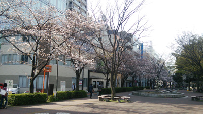 20140329-DSC_0269.JPG