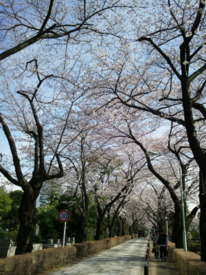 20140330-1.jpg