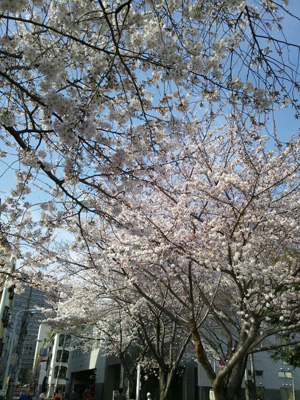20140330-2.jpg