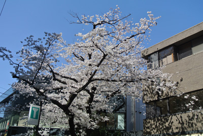 20140331-3.jpg