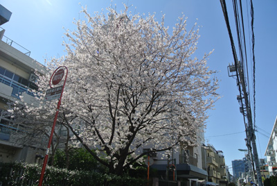 20140331-4.jpg