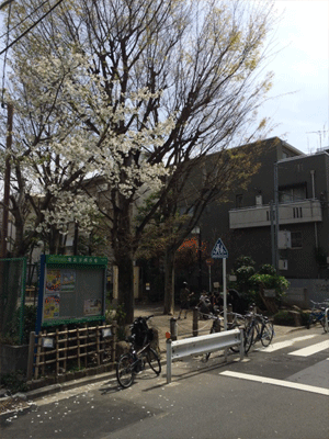 20140402-445.gif