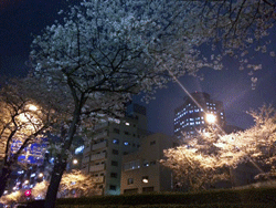 20140506-22222222222.gif
