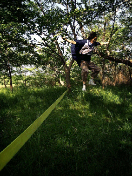 20140511-komiya001.gif