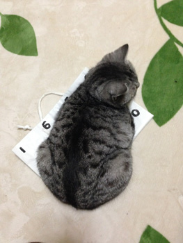 20140511-komiya004.jpg
