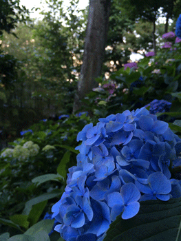 20140622-k0005.gif