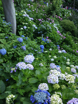 20140622-k0008.gif