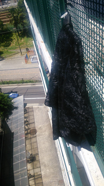 20140809-DSC_0398.JPG