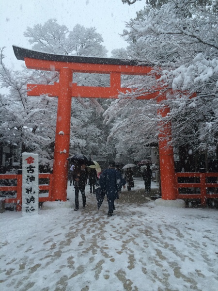 20150111-IMG_1119.JPG