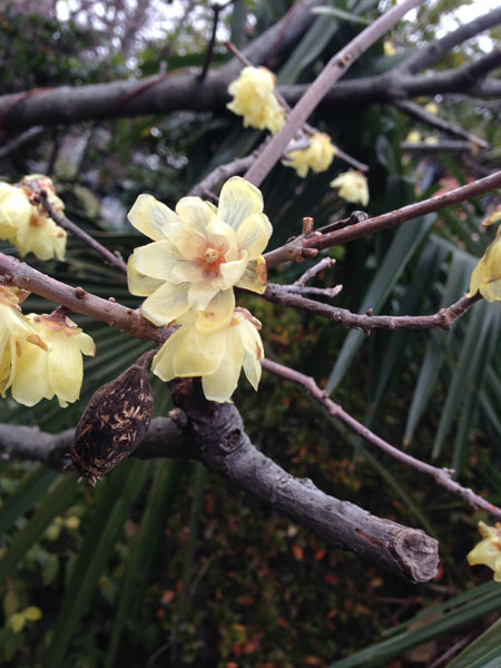 20150208-komiya05.jpg
