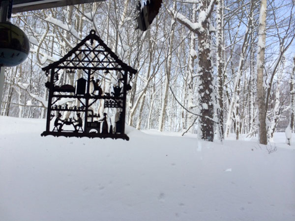 20150214-image222222222.jpg