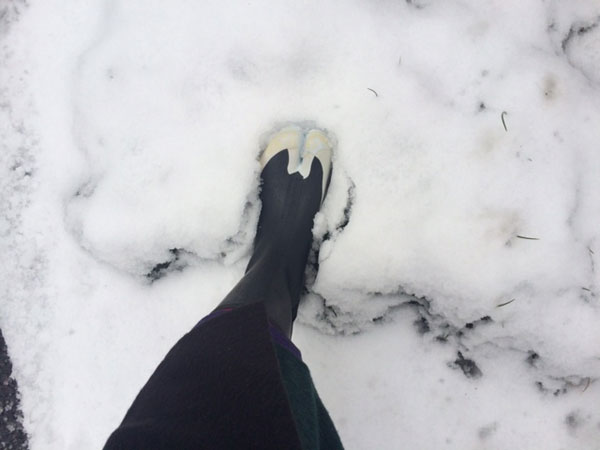 20150214-image6666666666666666.jpg